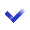 icon check