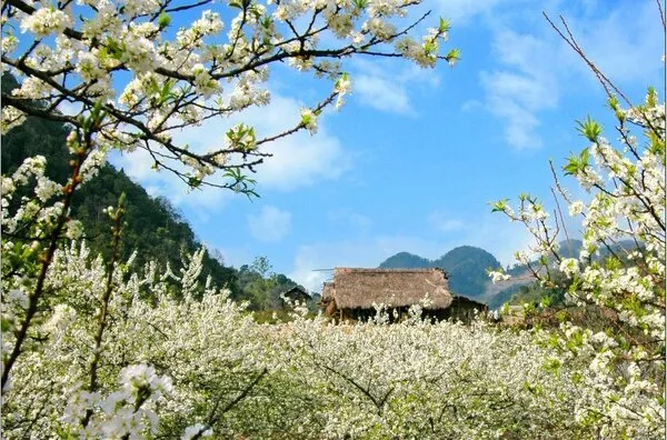 Những lưu ý khi đi du lịch Mai Châu