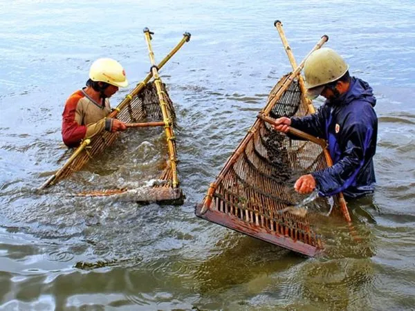 Làng nghề mây tre đan Ninh Sở - một trong những làng nghề mây tre đan nổi tiếng