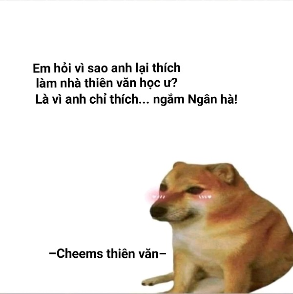 meme chó shiba inu nổi tiếng cđm là ai