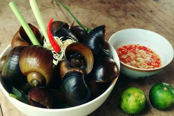 Ốc là món ăn được nhiều người Việt yêu thích