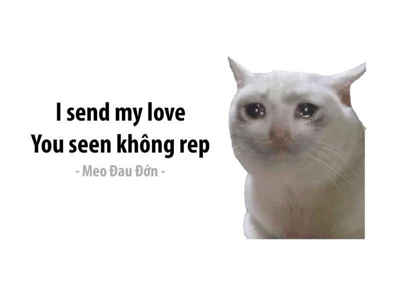 Meme kèm theo chữ biểu hiện tâm trạng được nhiều người dùng