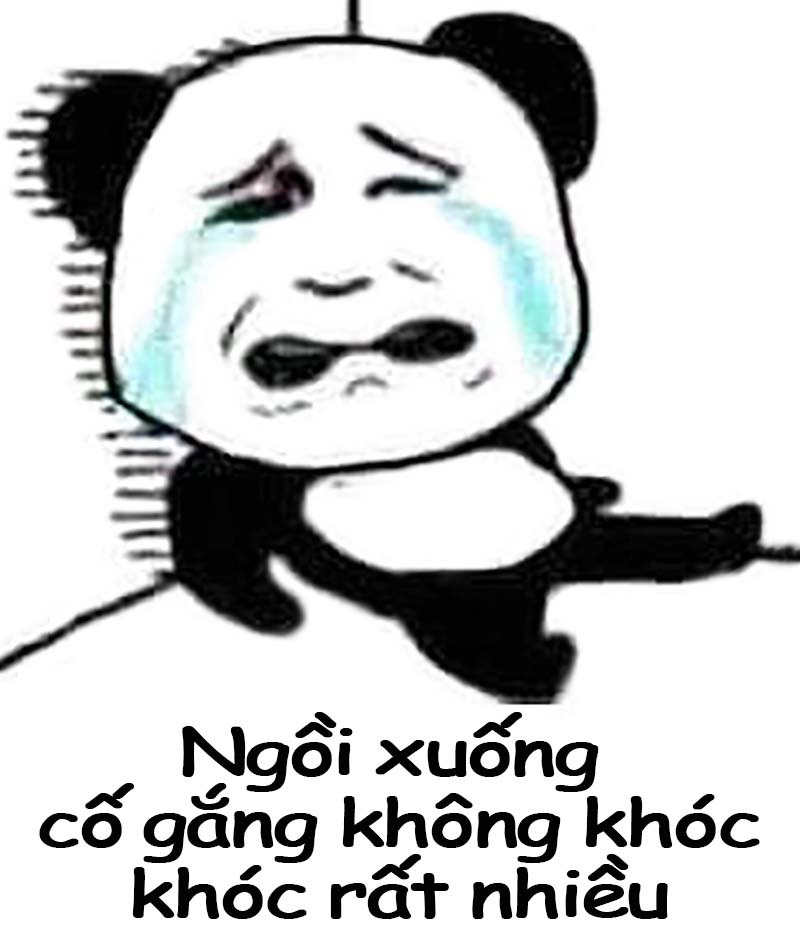 meme-xin-loi-meme-meo-xin-loi-meme-xin-loi-duoc-chua-hai-huoc-vui-nhon-1566