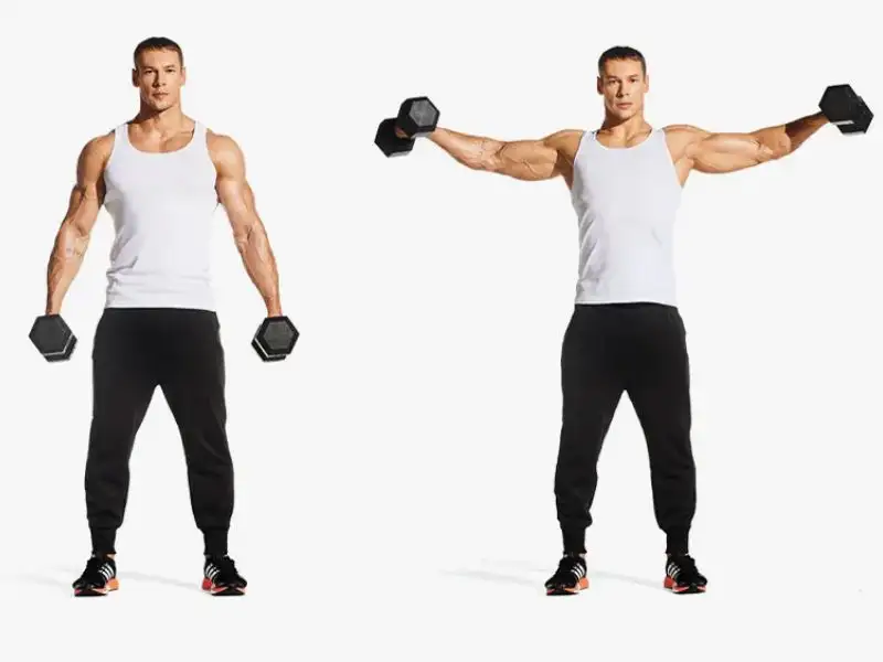 Dumbbell lateral raises