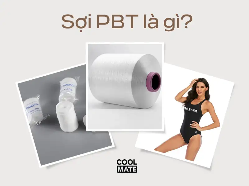 Sợi PBT là gì?