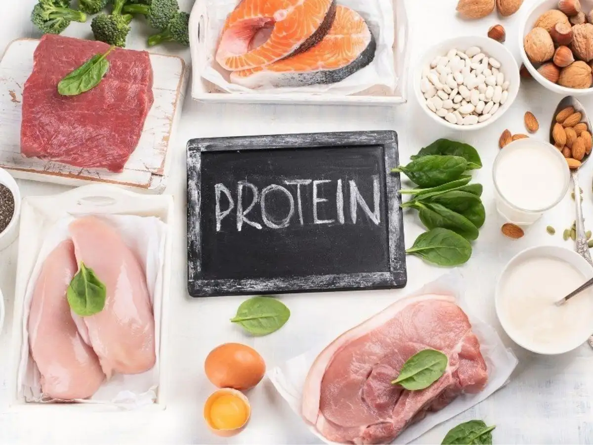 Protein là thành phần quan trọng giúp xây dựng và phục hồi cơ bắp sau mỗi buổi tập