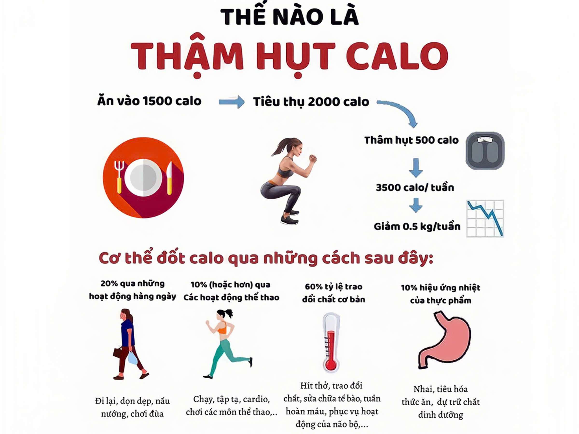 Sơ đồ thâm hụt Calo