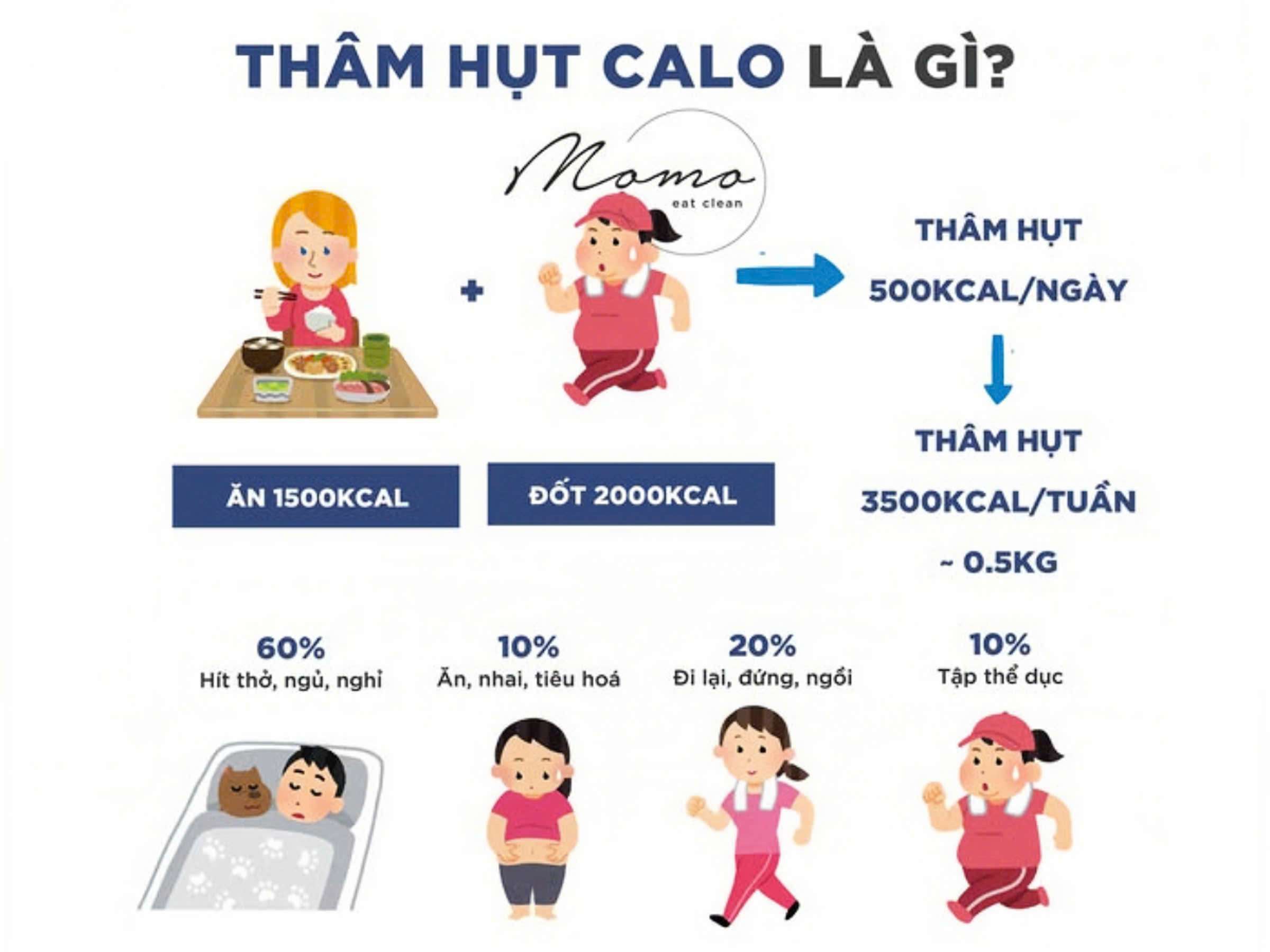 Sơ đồ thâm hụt Calo