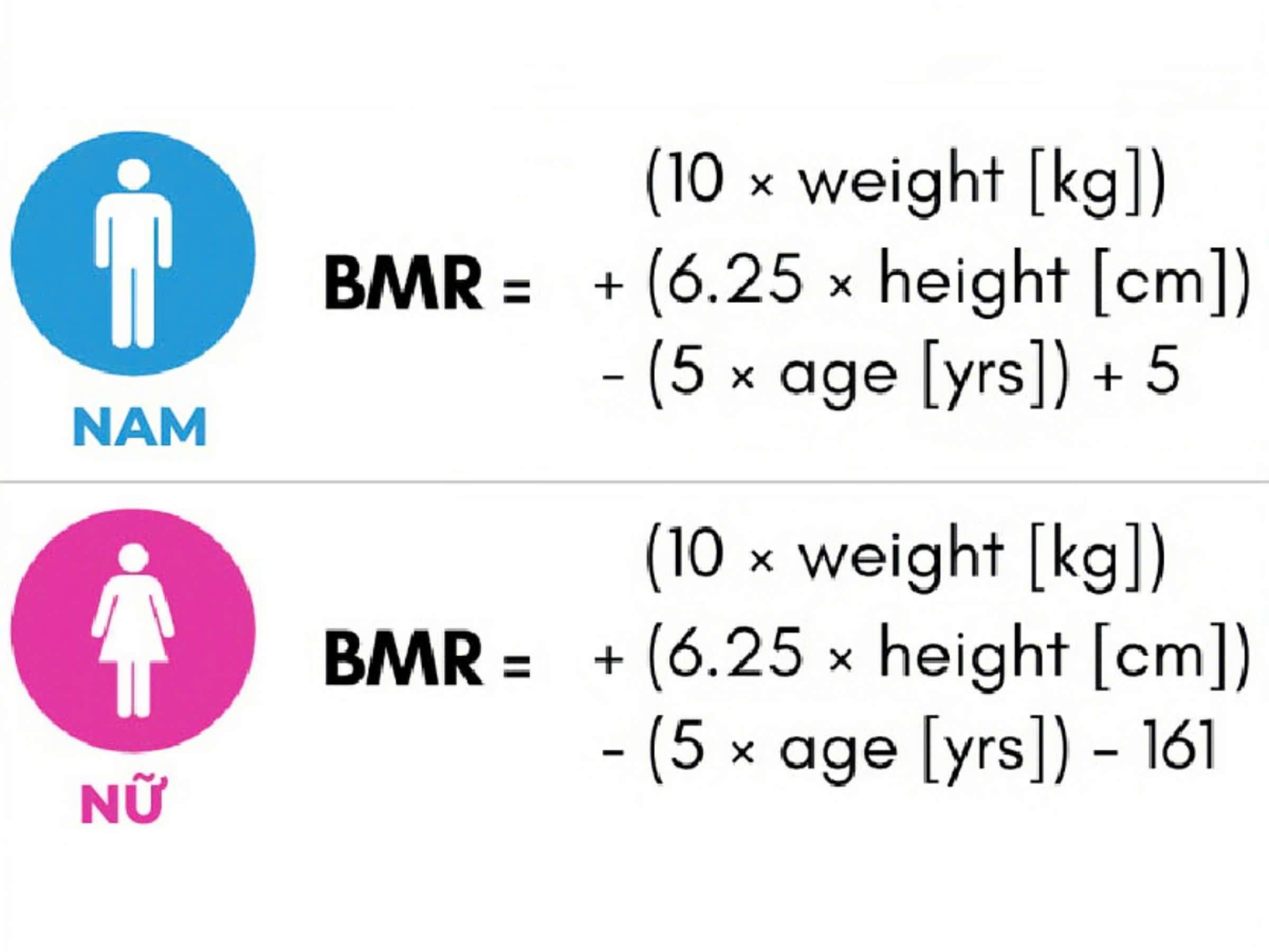 Công thức tính chỉ số BMR online của nam/nữ