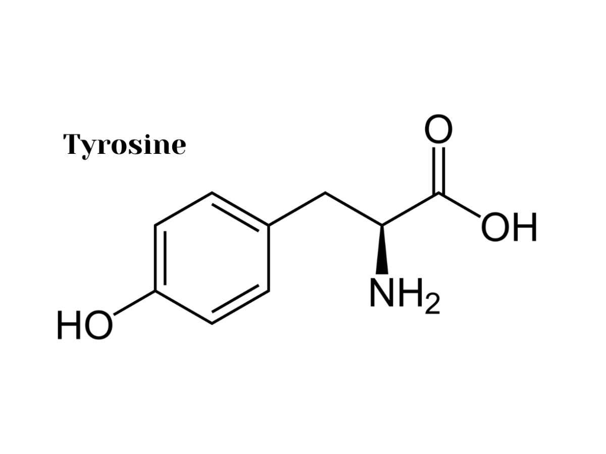 Tyrosine là một loại hợp chất hữu cơ đóng vai trò như viên gạch xây dựng nên protein trong cơ thể chúng ta