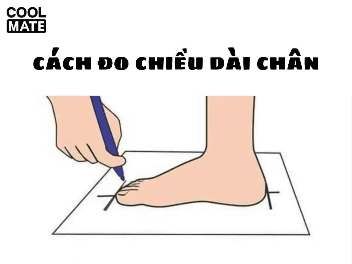 Chọn Size Giày Nữ Công Sở Chính Xác