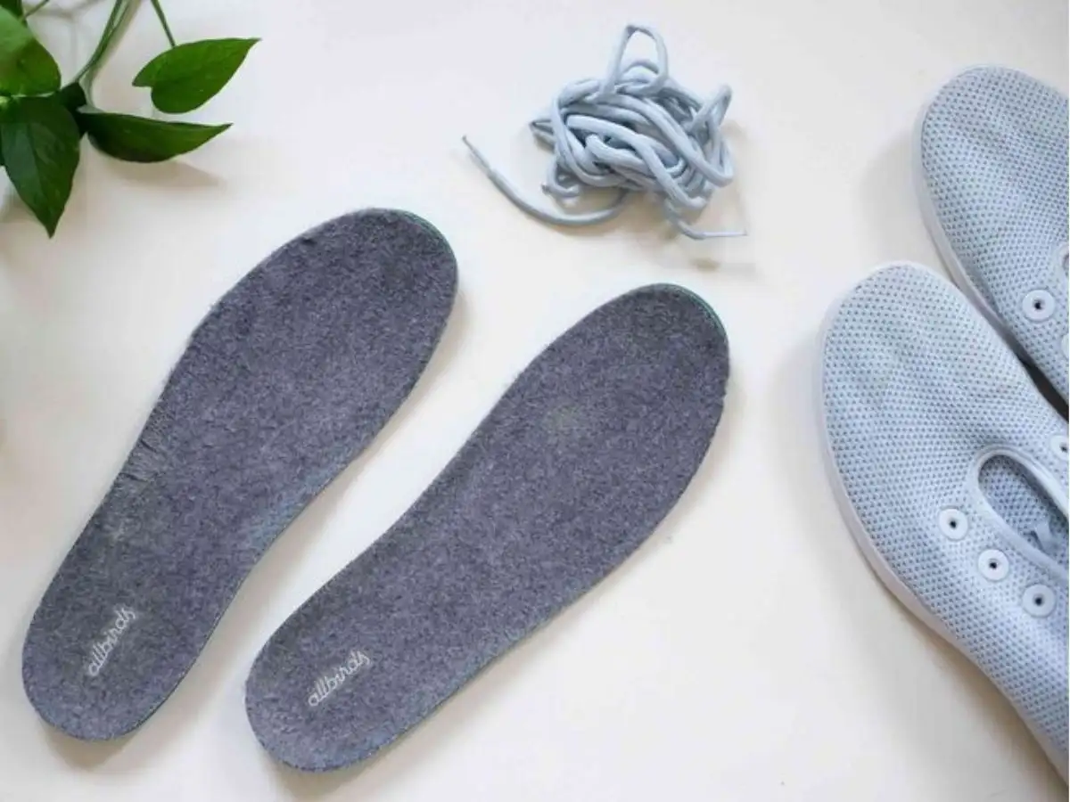 Hạn Sử Dụng Của Lót Giày