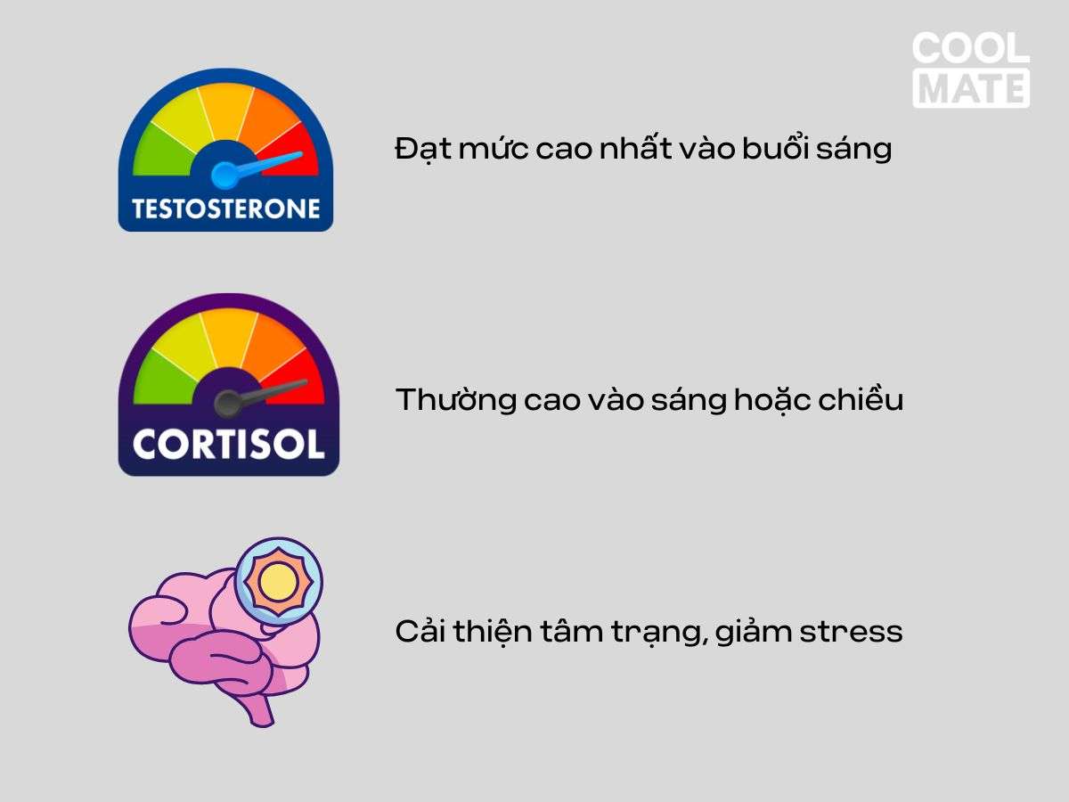 Mỗi hormone mang đến những lợi ích khác nhau