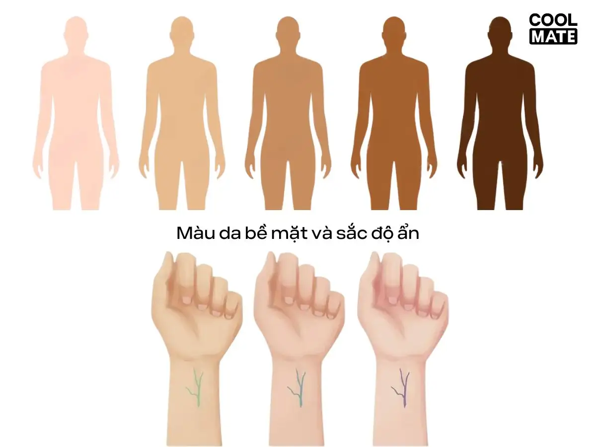 Sự khác biệt giữa màu da bề mặt có thể thay đổi và sắc độ ẩn cố định