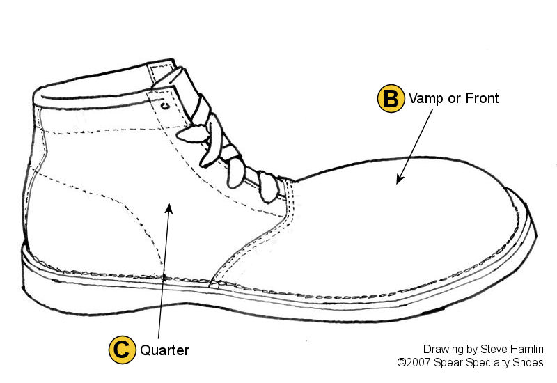 cấu trúc thân giày sneaker