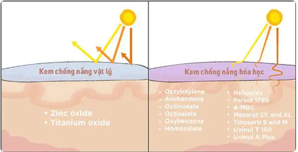 các loại kem chống nắng cho nam