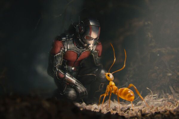 Đón xem phần tiếp theo của Ant-Man