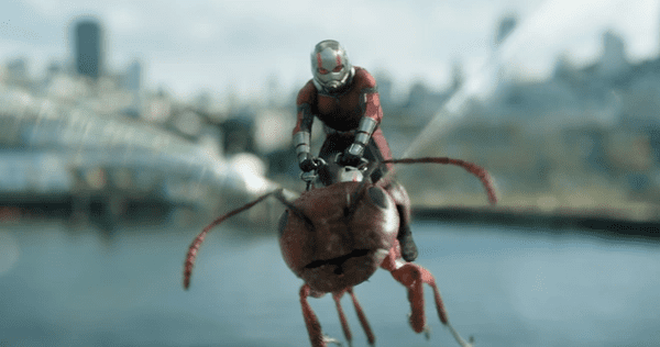 Ant - Man là một trong những siêu anh hùng có năng lực vô cùng thú vị