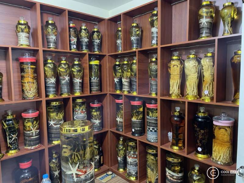 Đừng lạm dụng rượu ngâm quá mức vì có thể gây phản tác dụng và ảnh hưởng xấu đến sức khỏe