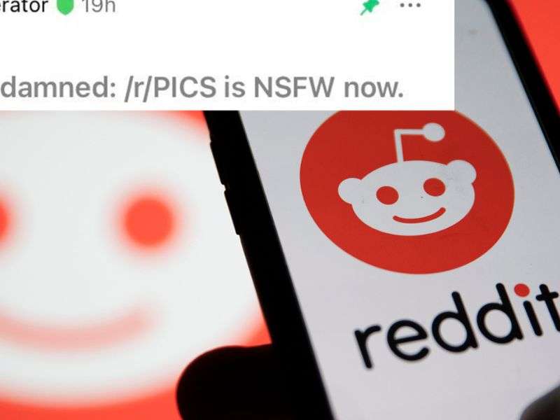 Reddit có công rất lớn trong việc phổ biến nhãn NSFW