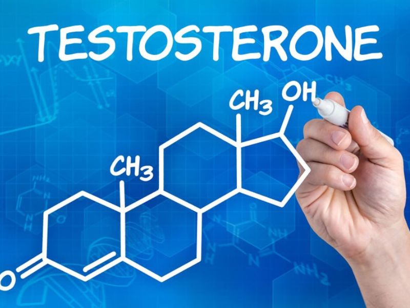 testosterone-la-gi-2488