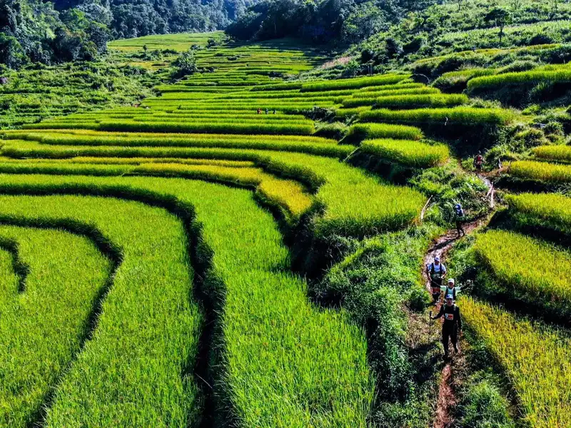 vietnam-jungle-marathon