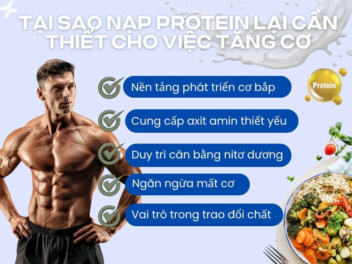 Protein là dưỡng chất thiết yếu giúp xây dựng, phục hồi và phát triển cơ bắp
