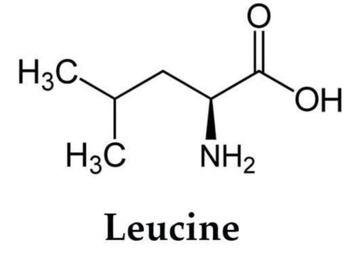 Ức gà giàu protein nạc chứa đầy đủ axit amin thiết yếu như leucine  giúp phát triển và phục hồi cơ bắp