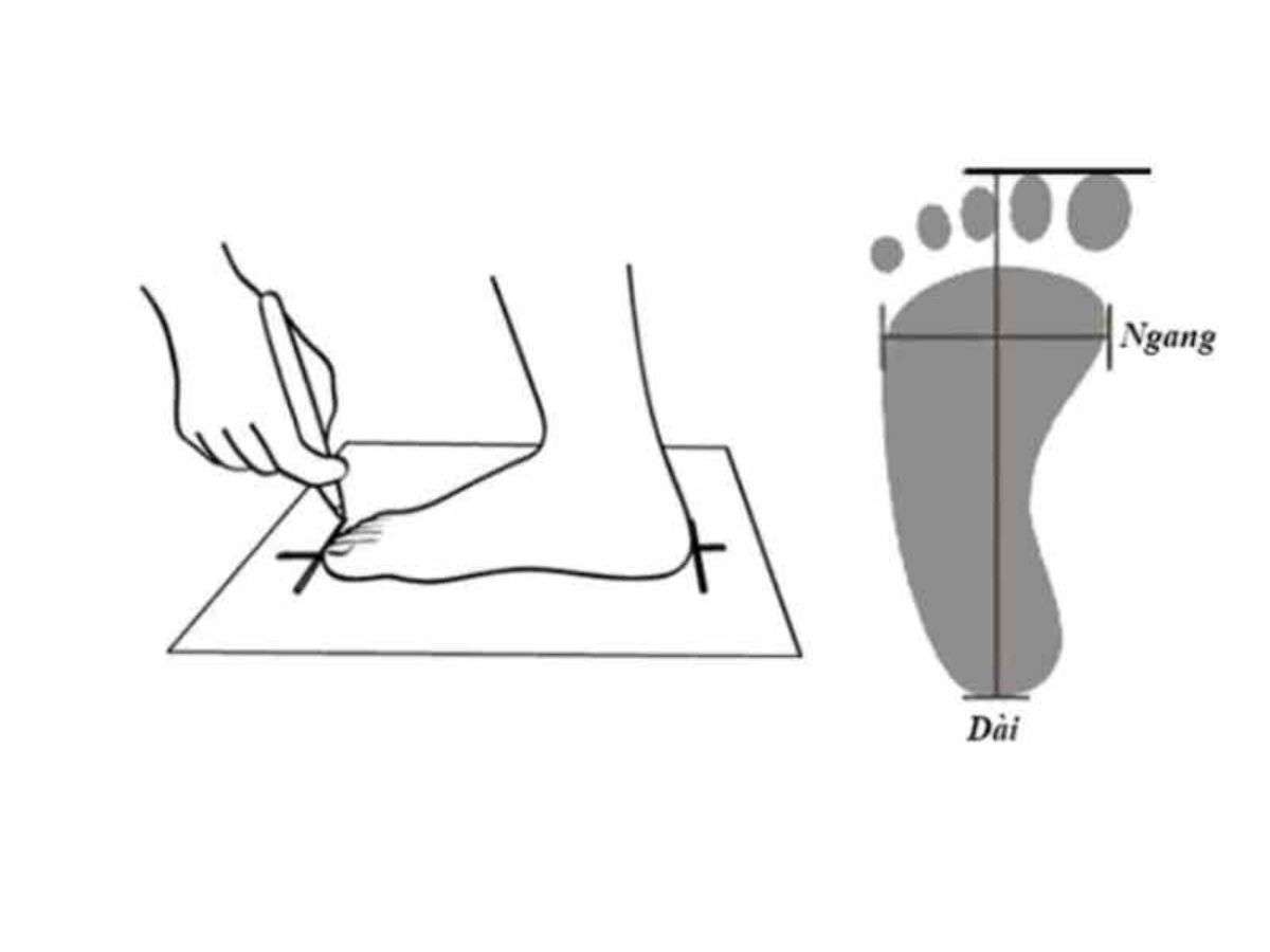 Cách chọn size và thử giày đúng cách
