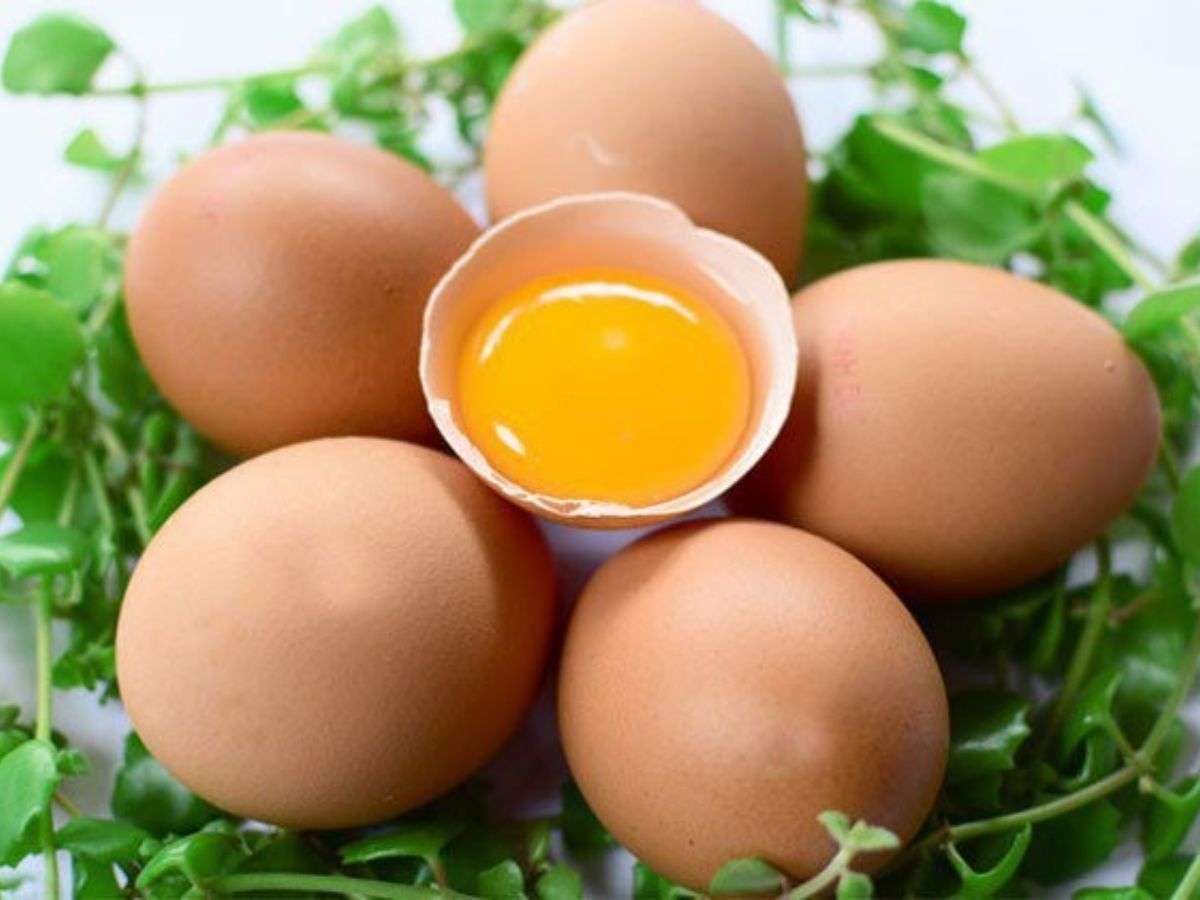 Trứng cung cấp protein giúp kích thích phát triển cơ bắp
