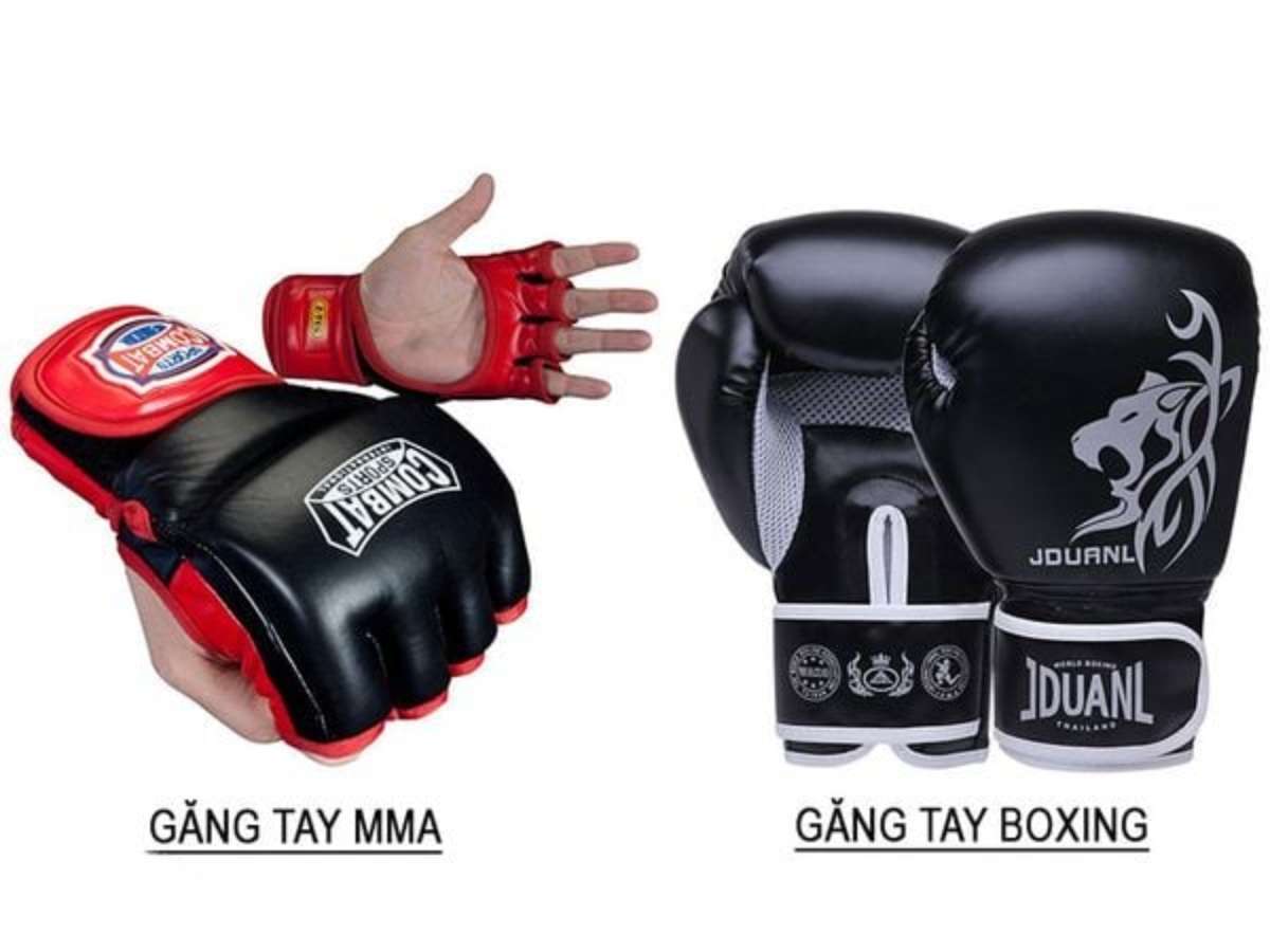 So sánh sự khác nhau giữa găng tay MMA và găng tay Boxing 