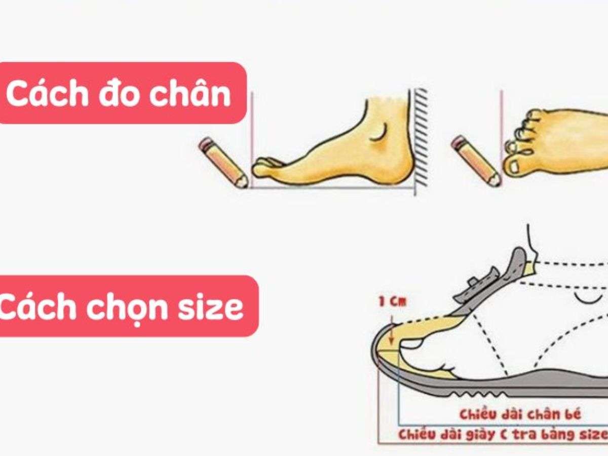  Hướng dẫn đo size chân và minh họa khoảng trống 1cm ở mũi giày