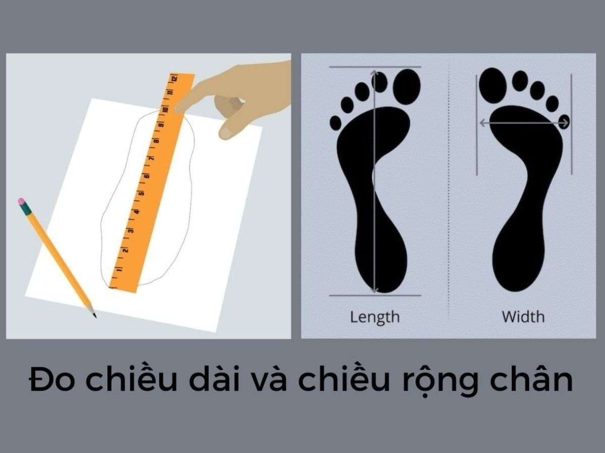 Cần chuẩn bị đầy đủ dụng cụ để tiến hành đo