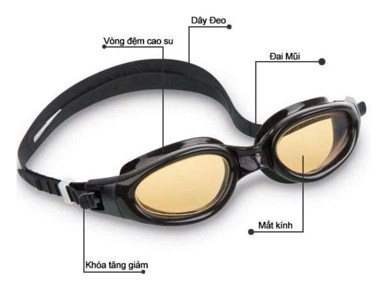 Các bộ phận của kính bơi