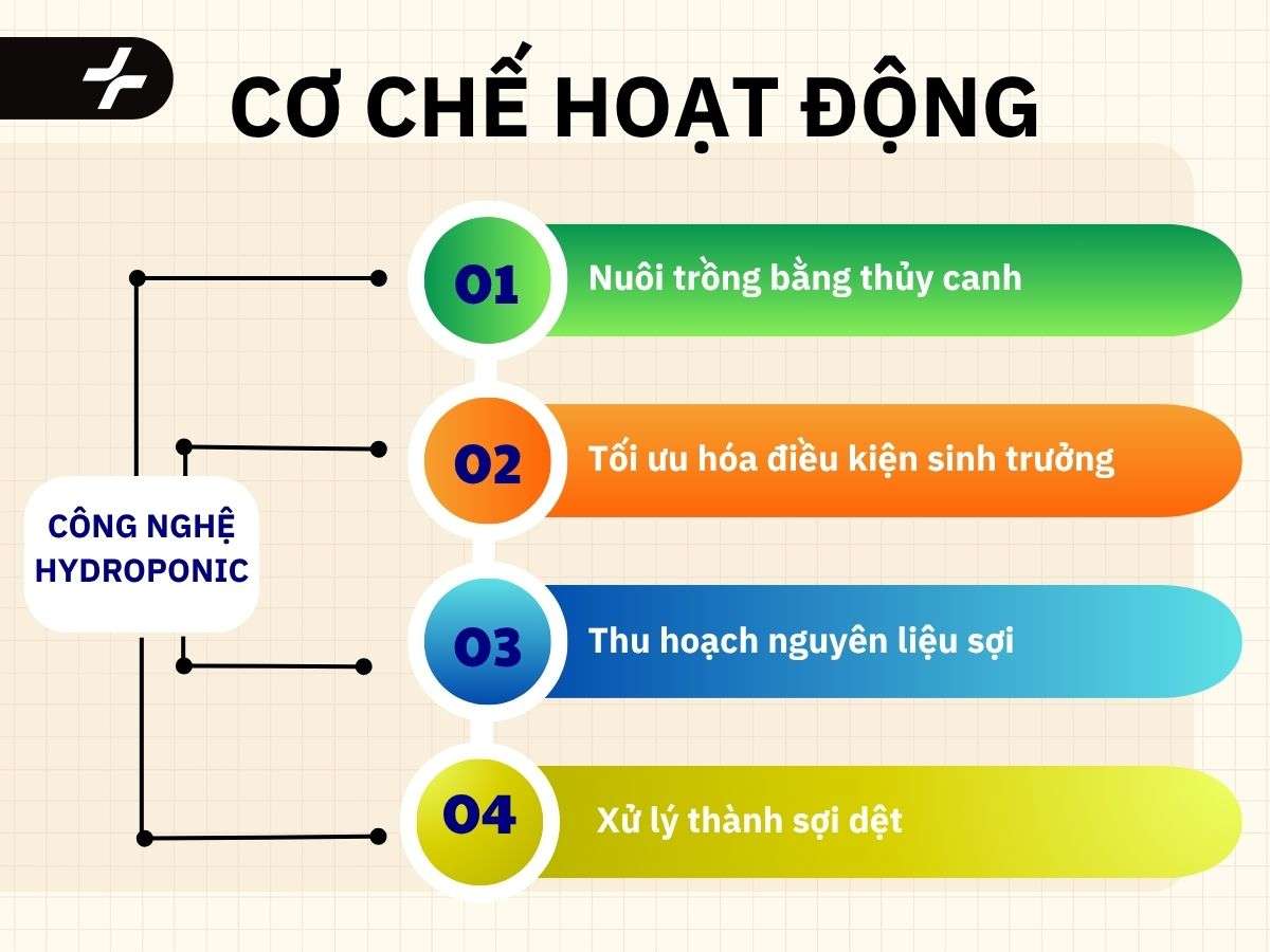 Cơ chế hoạt động công nghệ Hydroponic