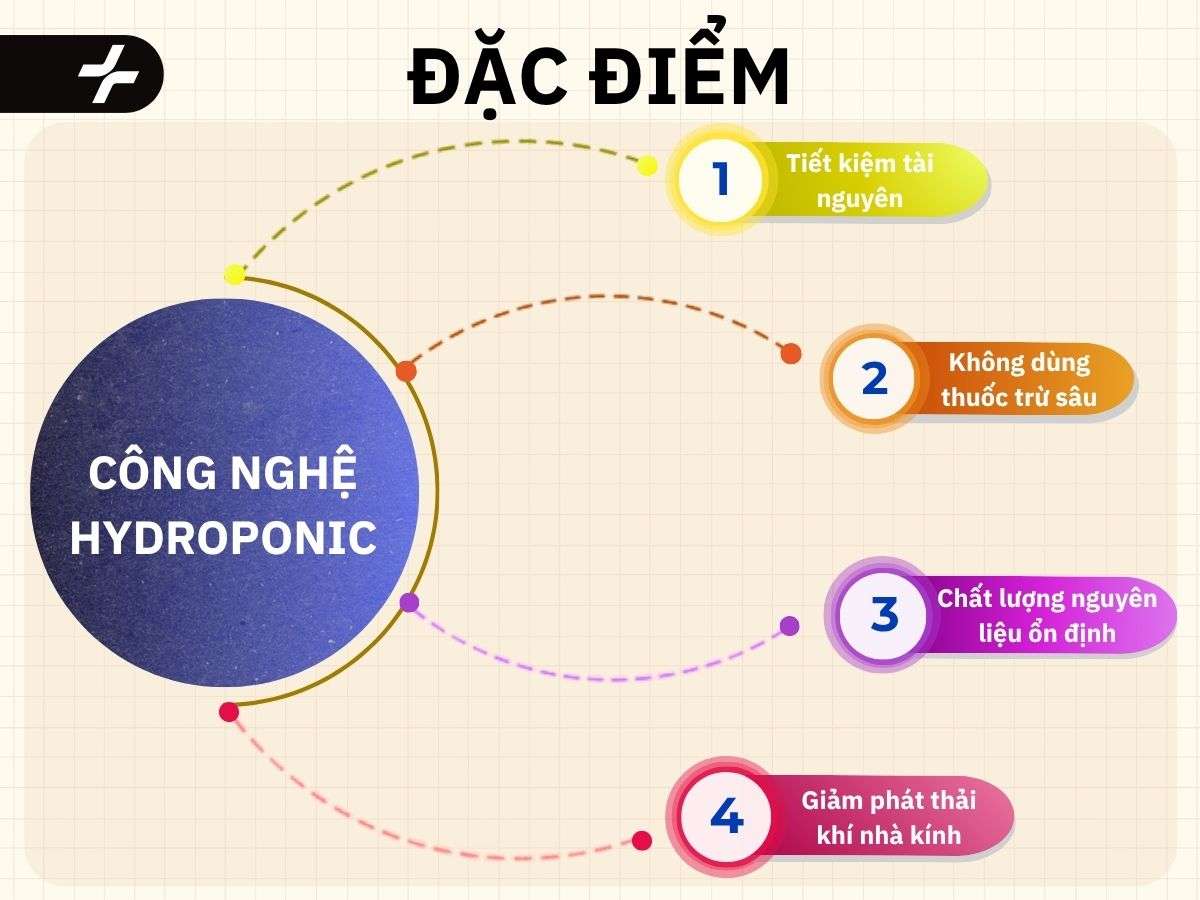 Đặc điểm công nghệ Hydroponic