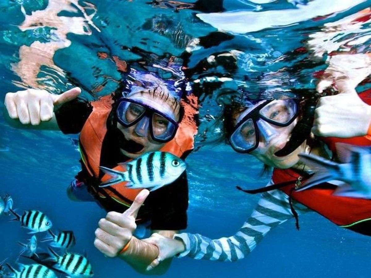 Nên tìm bạn đồng hành để hỗ trợ nhau mọi tình huống