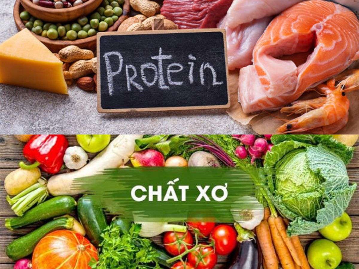 Protein và chất xơ hòa tan giúp kiểm soát calo, giảm đói và hỗ trợ giảm mỡ bụng tự nhiên