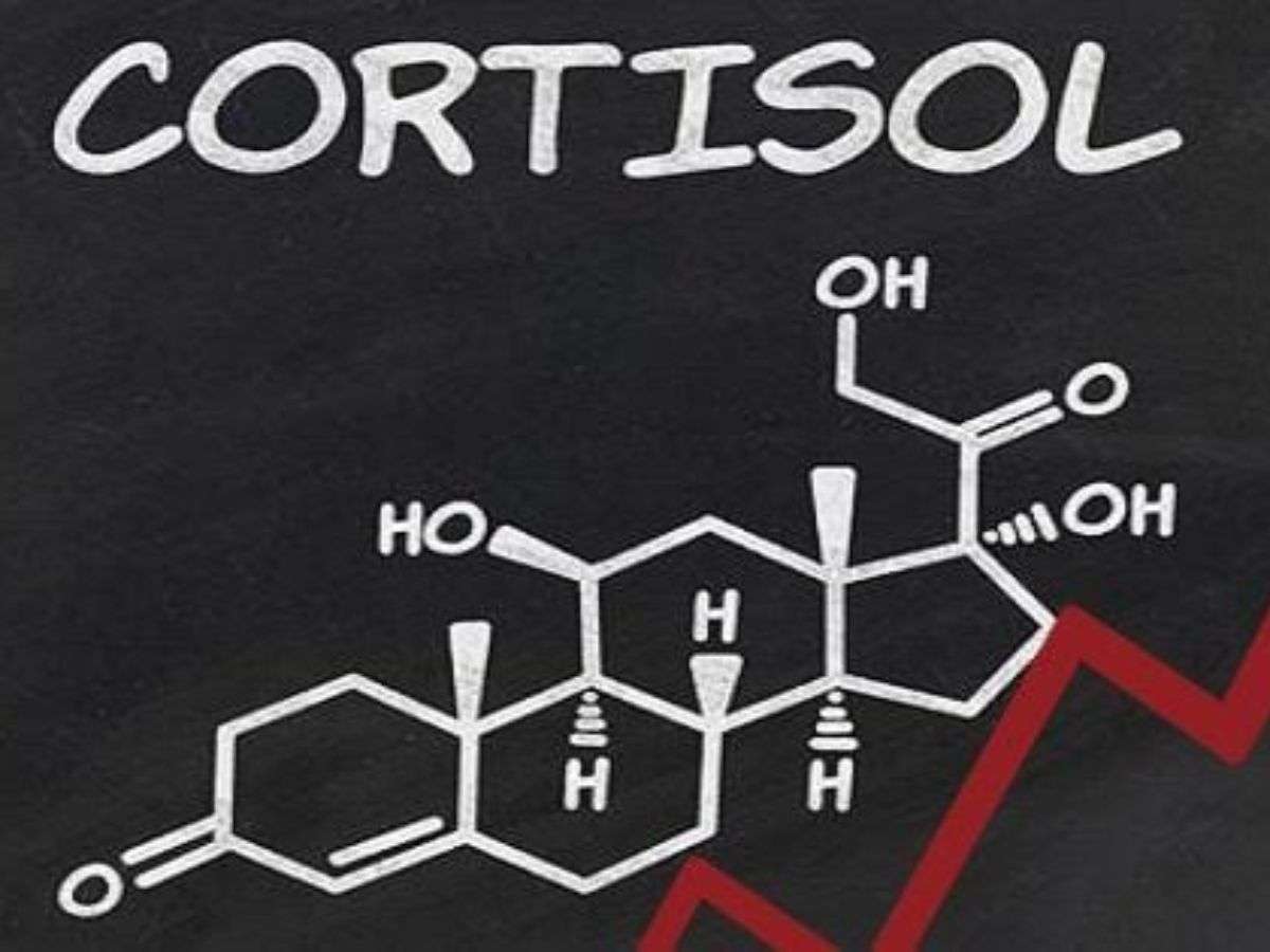 Tập nặng làm thay đổi hormone như cortisol, dễ gây giữ nước và tăng cảm giác đói