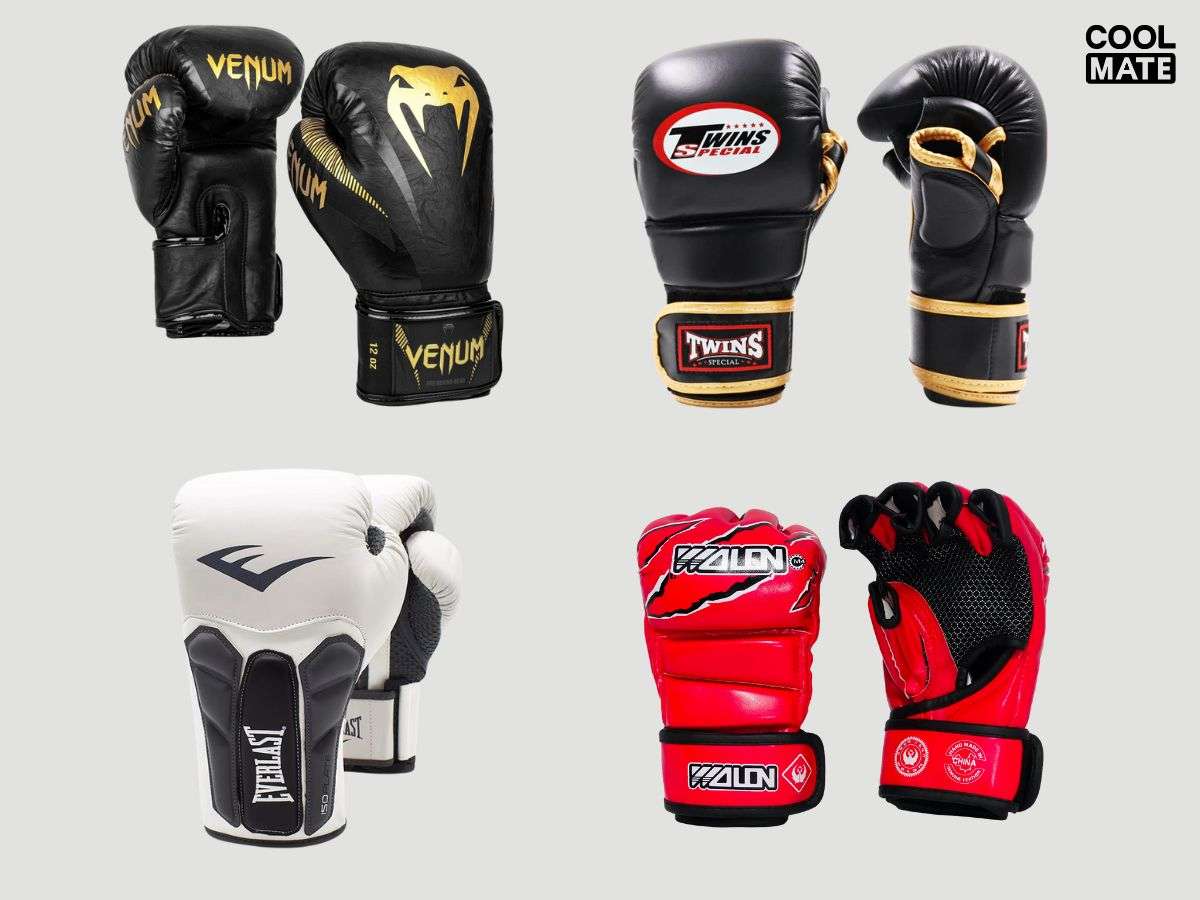 Một số thương hiệu găng tay boxing uy tín