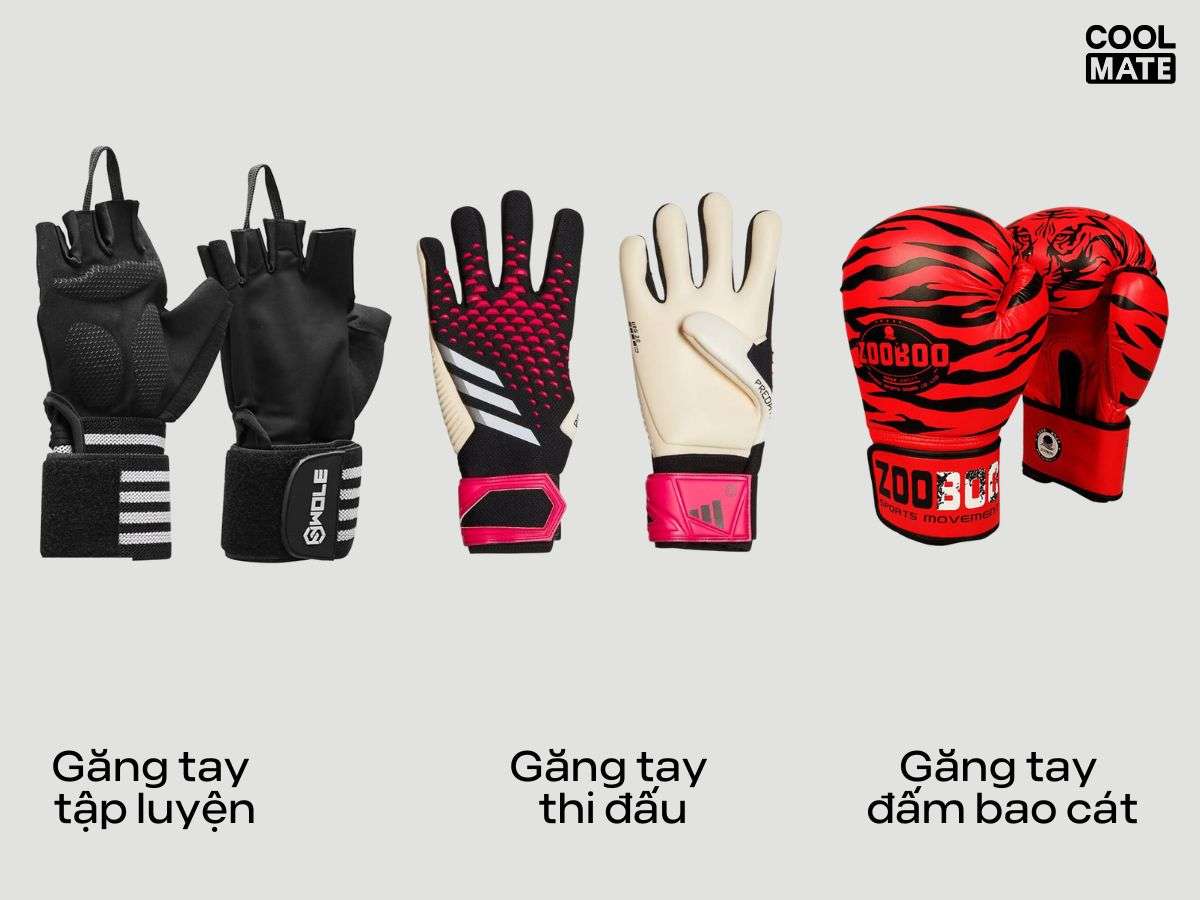 Các loại găng tập luyện, găng tay đấm bao cát và găng tay thi đấu