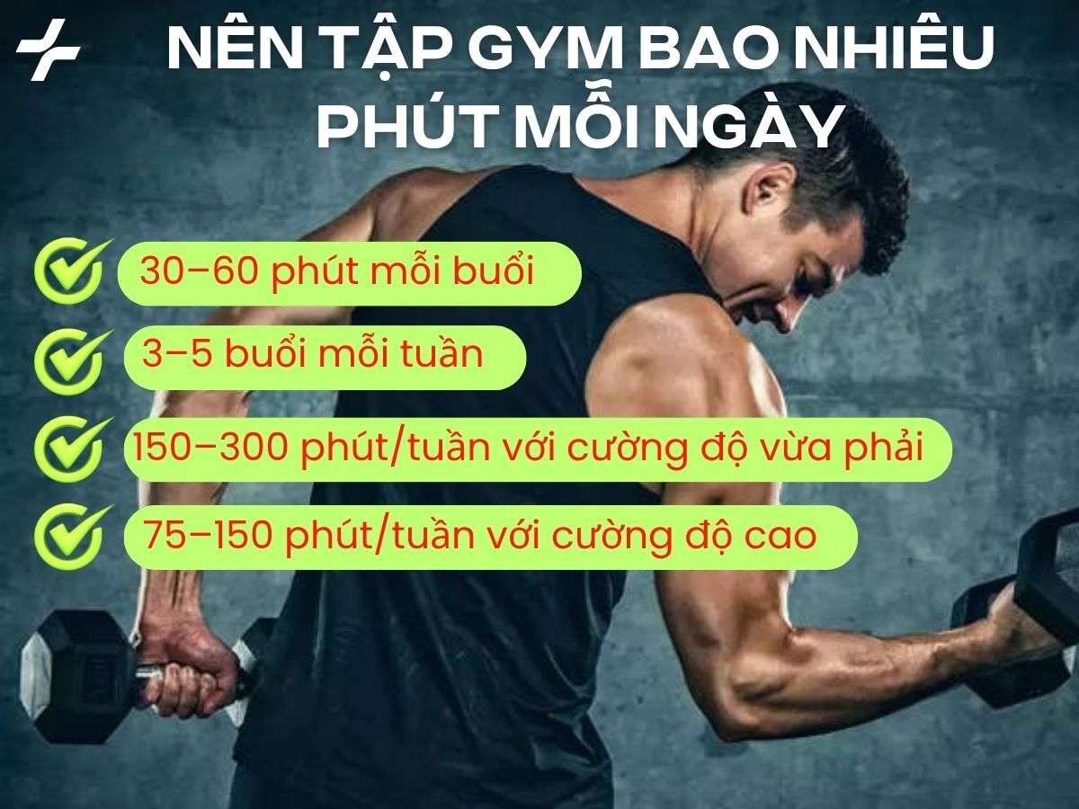 Thời lượng tập gym nên từ 30–60 phút mỗi buổi