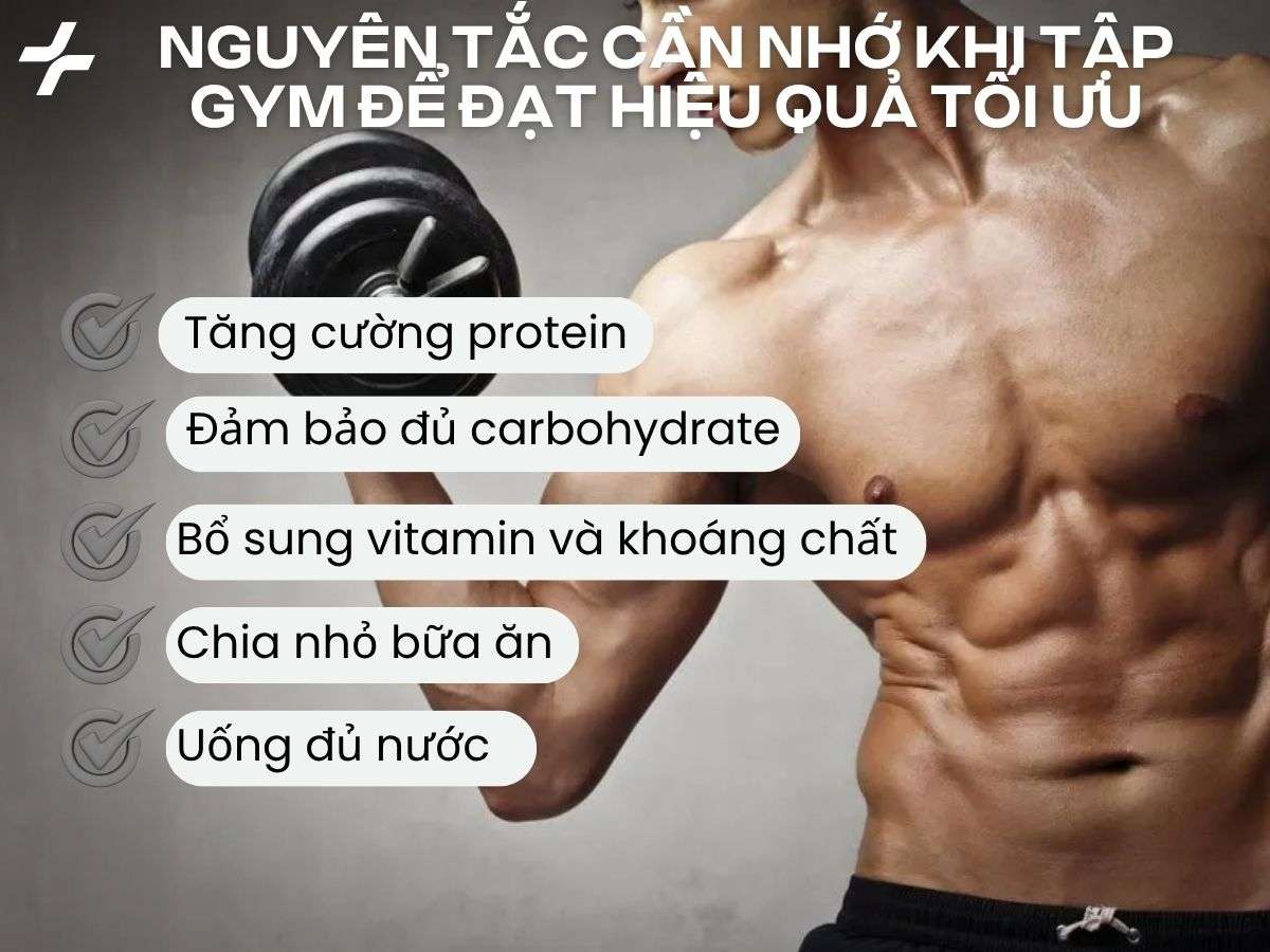 Các nguyên tắc khi tập gym như đủ protein, carb, vitamin, chia bữa và uống đủ nước