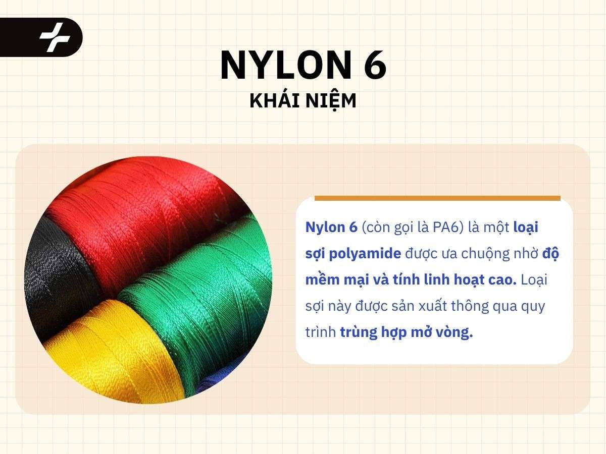 nylon 6 là gì