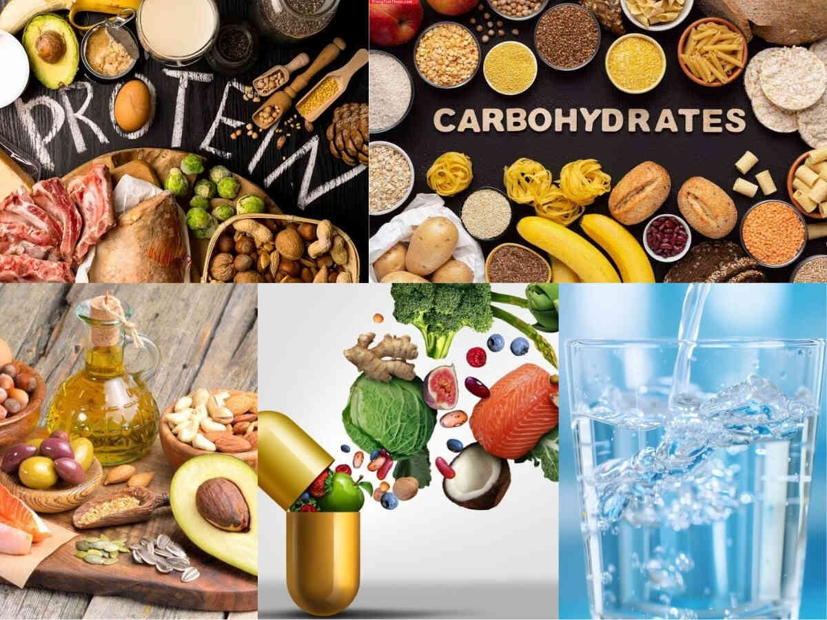Protein, carb, chất béo, vitamin, khoáng chất và nước giúp phục hồi cơ, duy trì năng lượng