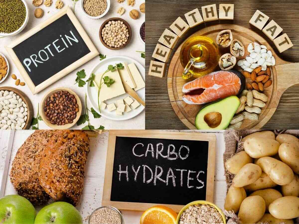 Bổ sung đủ protein, carb phức tạp và chất béo giúp tăng cân hiệu quả