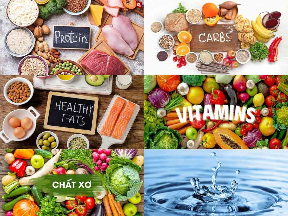 Thực đơn tăng cơ giảm mỡ cho nữ cần đủ protein, carb phức, chất béo tốt, rau củ và uống nước mỗi ngày