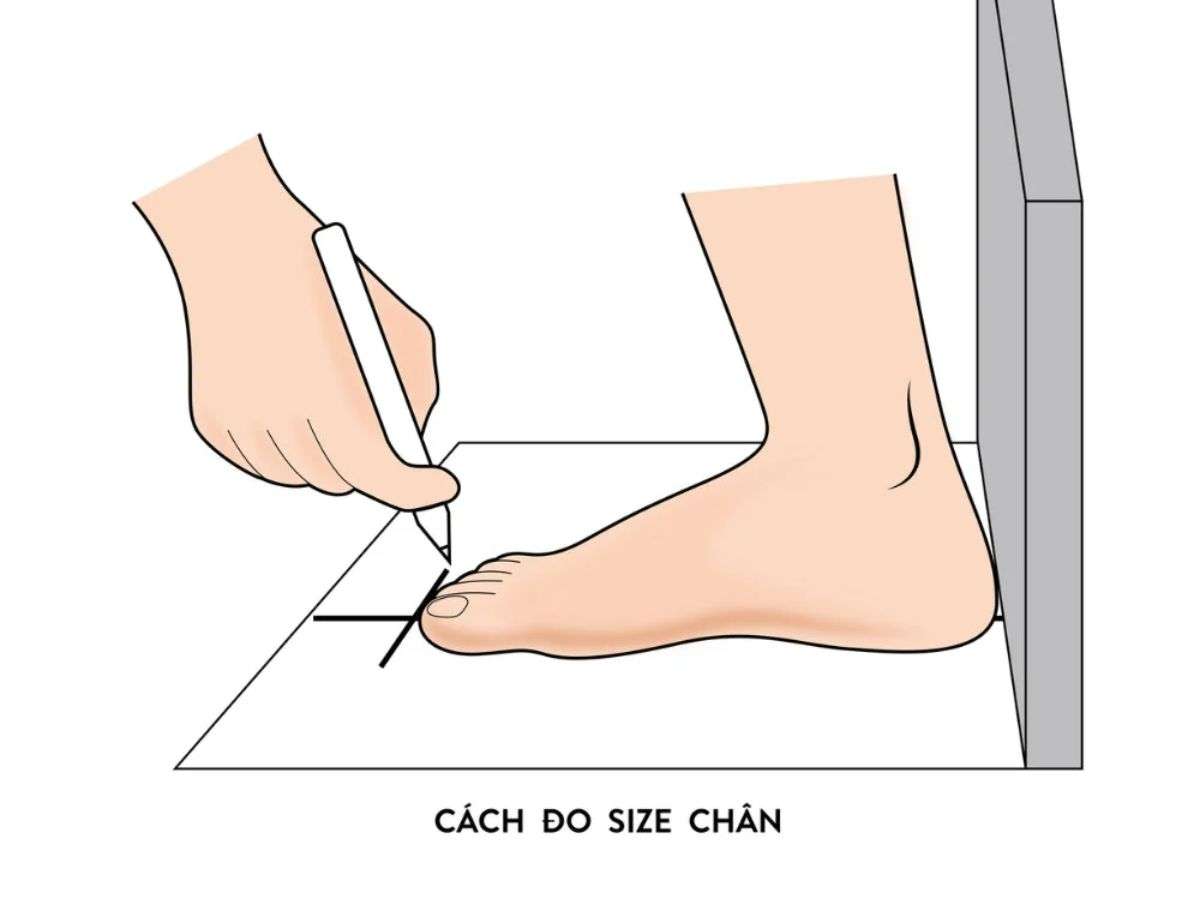 Lưu ý form chân và kích cỡ giày