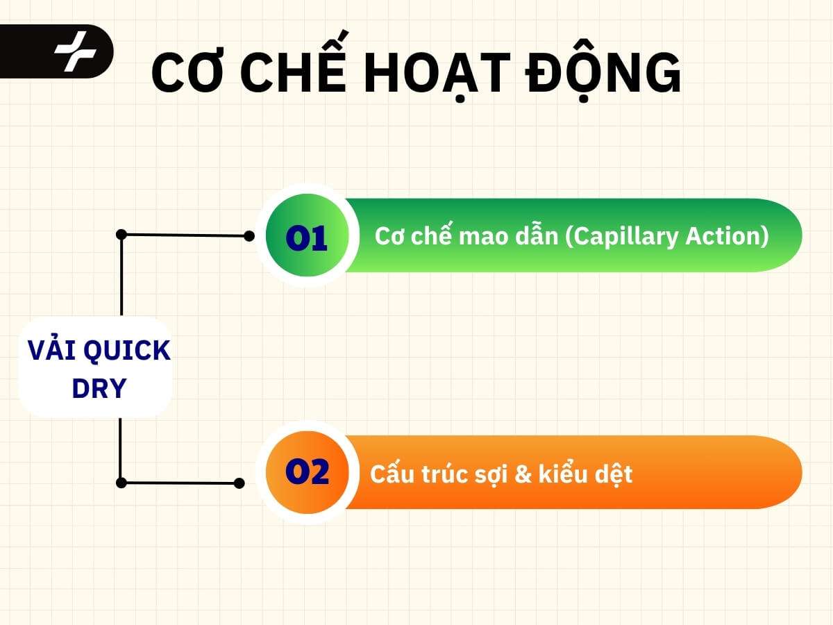 cơ chế hoạt động của vải quick dry