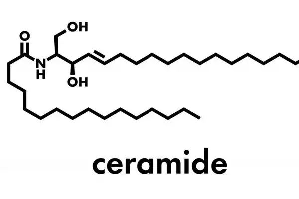 Ceramides